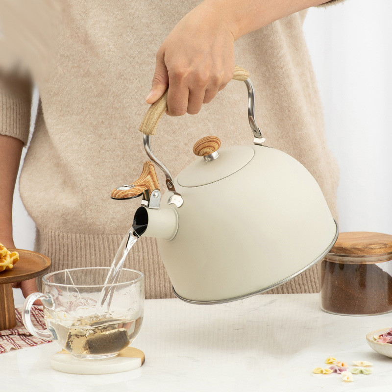 2.5L Whistle Kettle Flat Bottom Whistle Pot Outdoor Stainless Steel Camping Pot Classic Water Boiler For All Stovetops