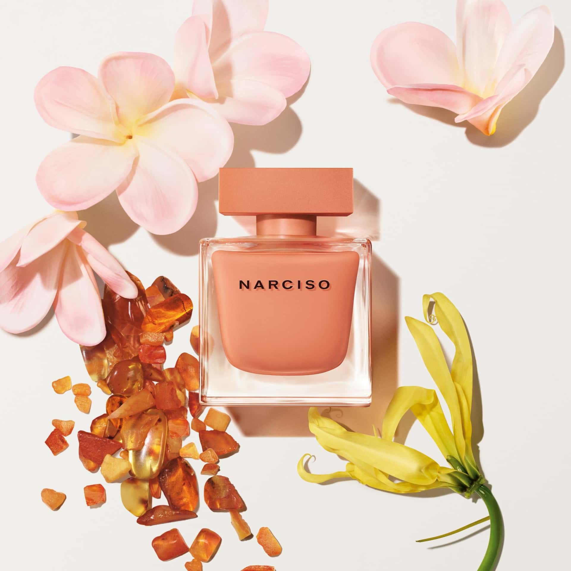 Narciso Rodriguez Narciso Ambree  Eau De Parfum