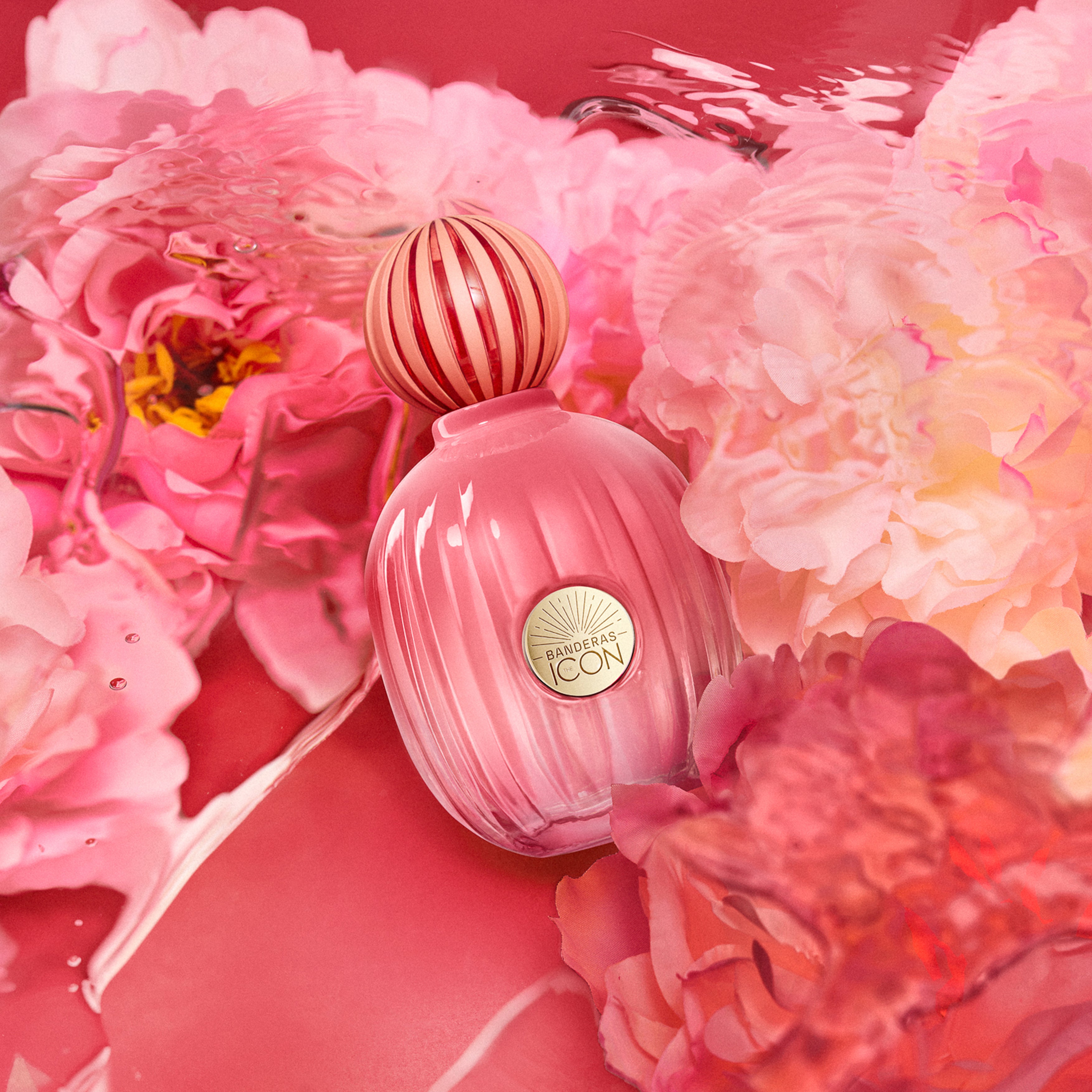 Banderas The Icon Splendid Eau de Parfum